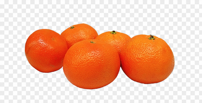 Orange Tangerine Fruit Mandarina Food Mandarin PNG