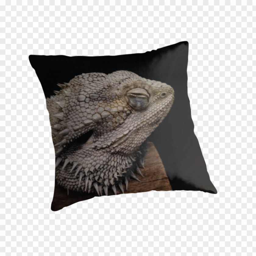 Sleeping Dragon Throw Pillows Cushion Snout PNG