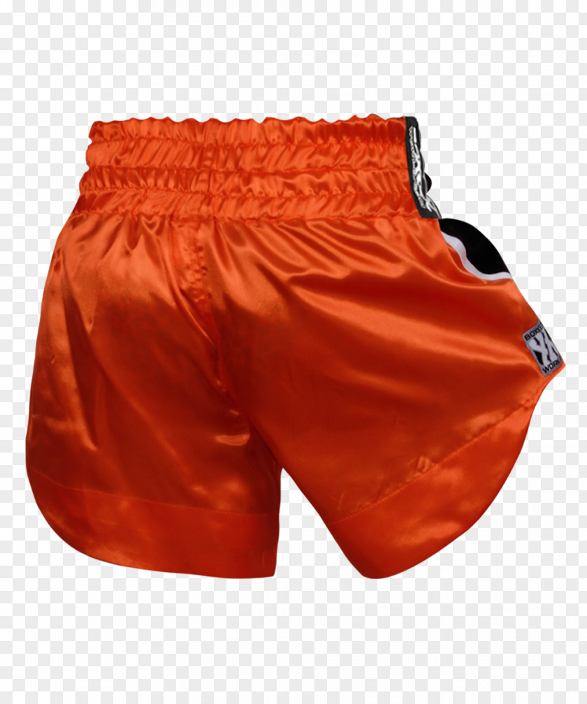 Trunks Swim Briefs Shorts Swimming PNG
