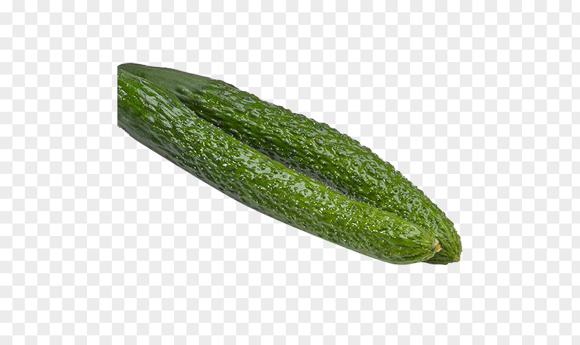 Vegetable Cucumber Pickled Armenian PNG