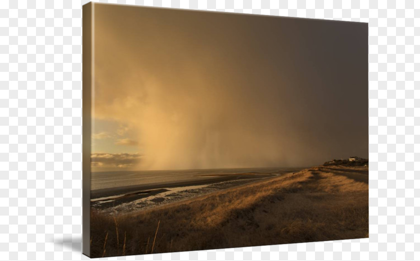 Canvas Print Photography Printing PNG