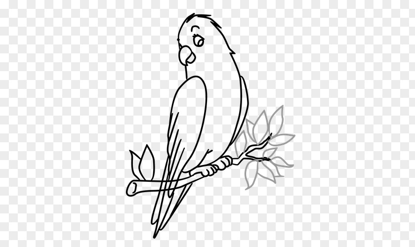 Color Paperrplanes Bird Drawing Tree Art Sketch PNG