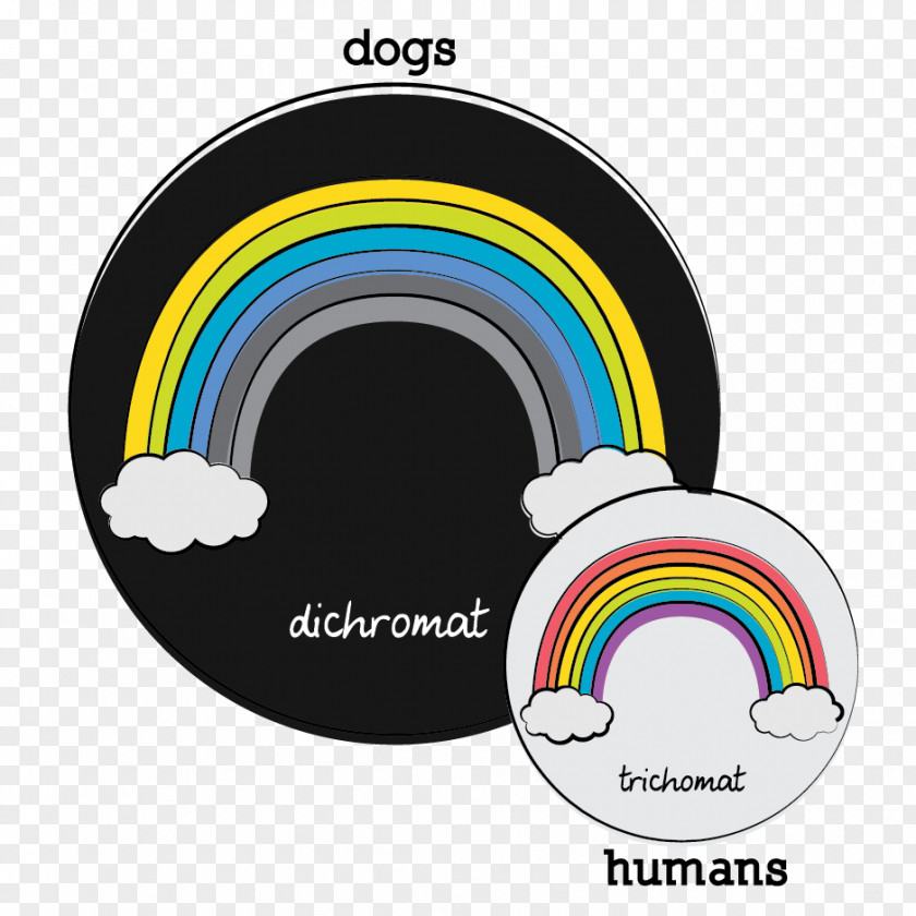 Dog And Human Yellow Dichromacy Red Color Vision PNG