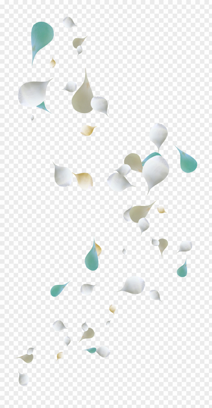 Falling Petal PNG