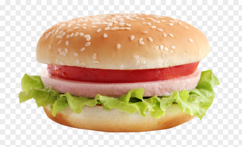 Fried Chicken Hamburger Cheeseburger Fast Food PNG
