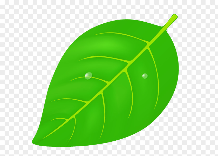 Kiyosato Station Illustration Leaf Accommodation Tree PNG