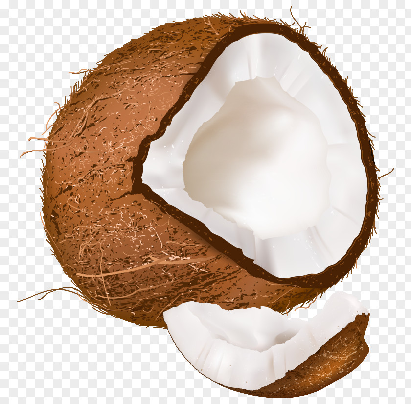 Open Coconut Clipart Image PNG