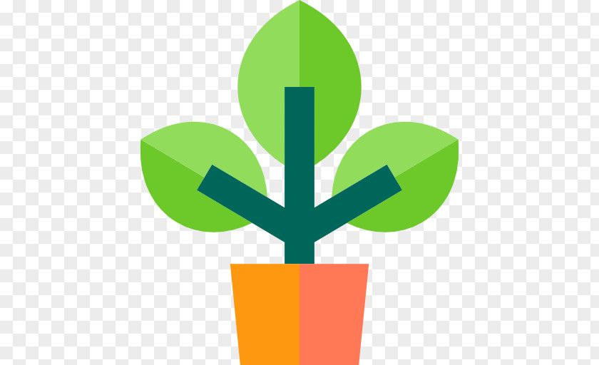 Plant Botany Flower PNG