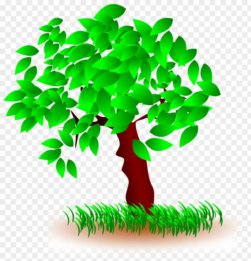 Trees Christmas Tree Clip Art PNG