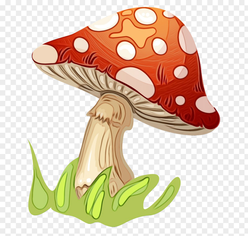 Animal Figure Agaric Mushroom Clip Art PNG