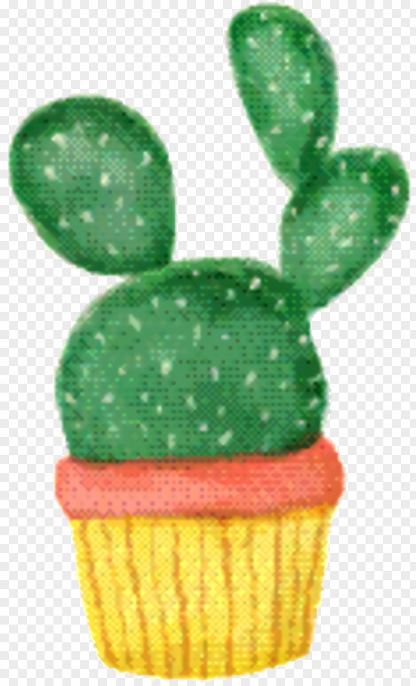 Baking Cup Caryophyllales Cactus Cartoon PNG