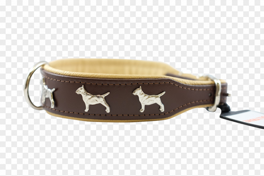 Bull Terrier Dog Collar Leash Belt Buckles PNG