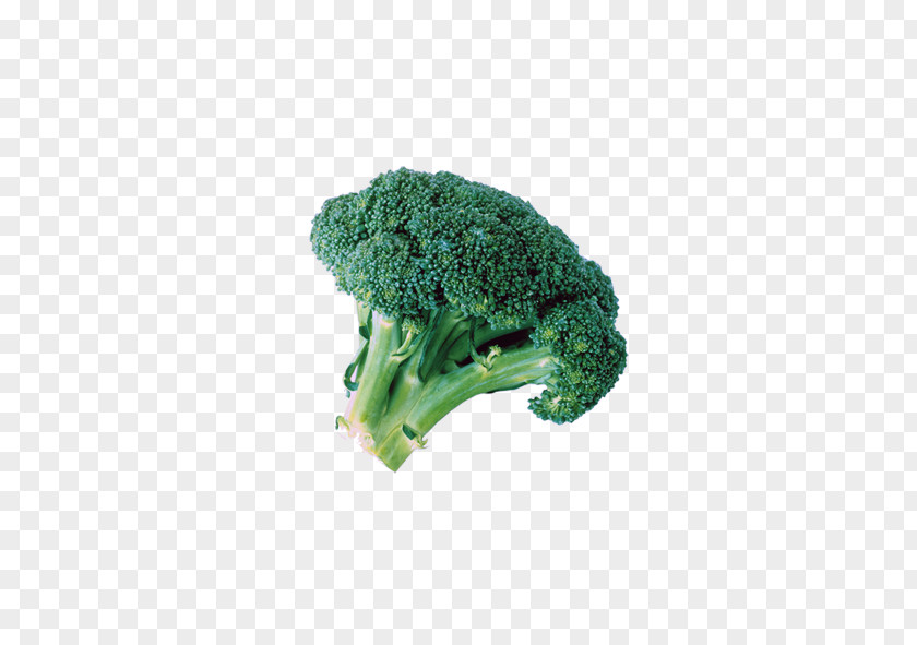 Cauliflower Broccoli Extract Cabbage Vegetable PNG