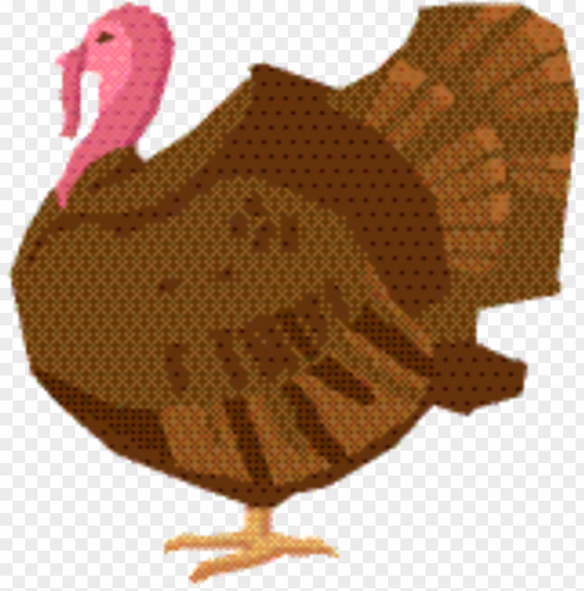 Livestock Beak Thanksgiving Pumpkin PNG