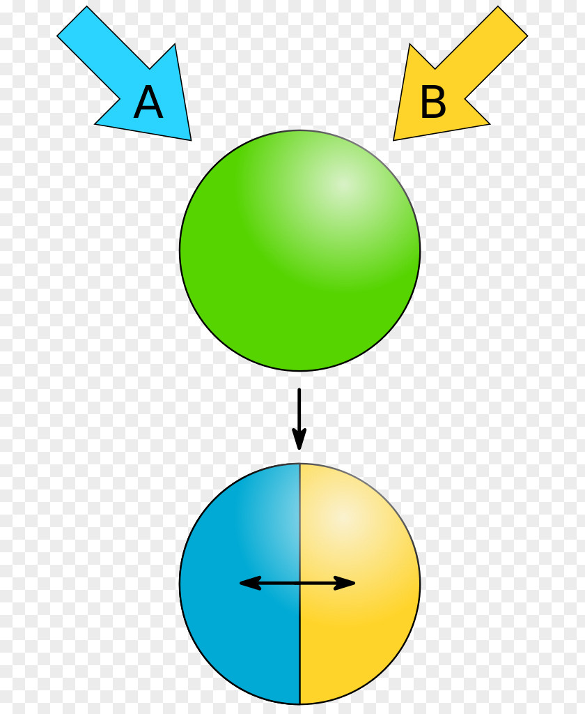 Particles Janus Nanoparticle Physical Property PNG