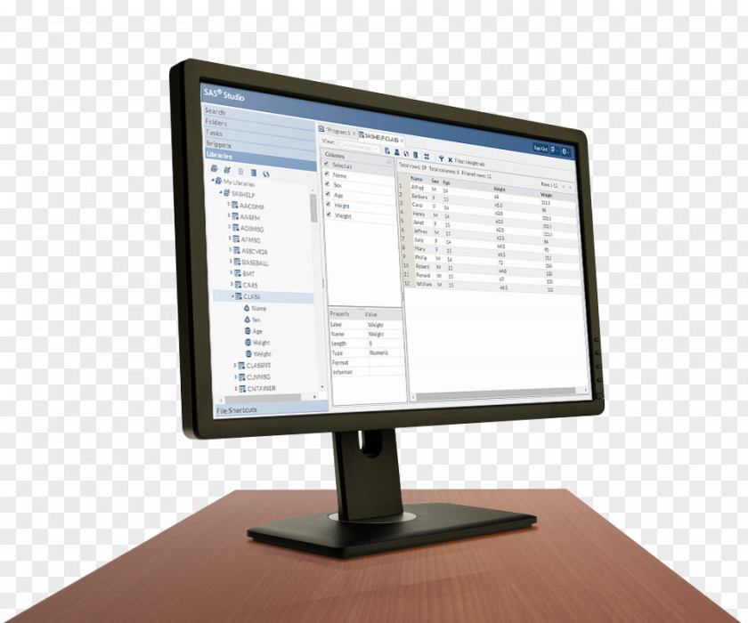 Software Suite Computer Monitors SAS Institute Management PNG