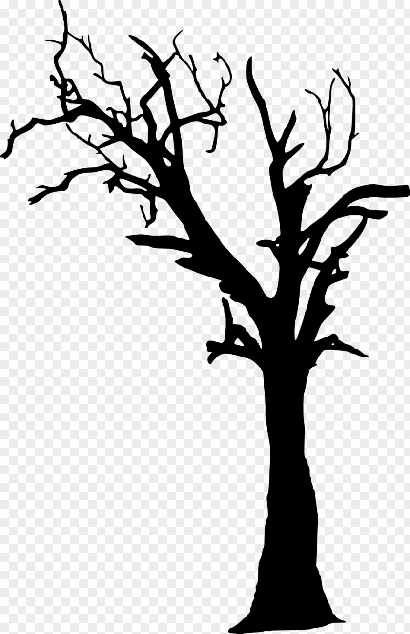Tree Silhouette Photography Clip Art PNG