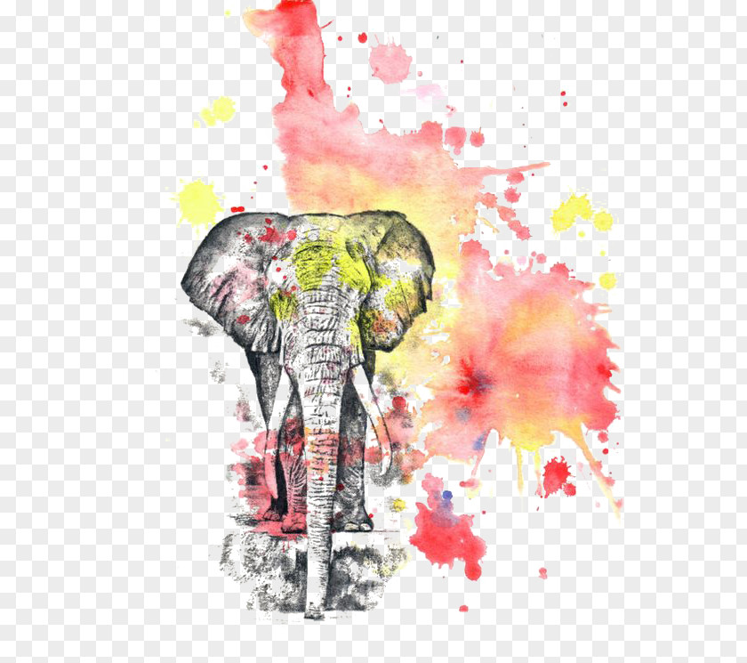 Watercolor Elephant Watercolor: Flowers Painting Printmaking PNG