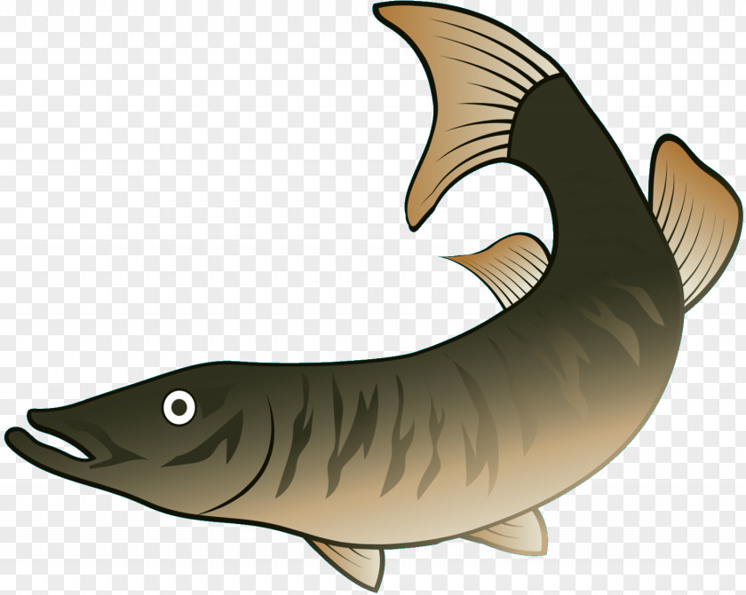 Fish Clip Art Requiem Sharks Fauna PNG