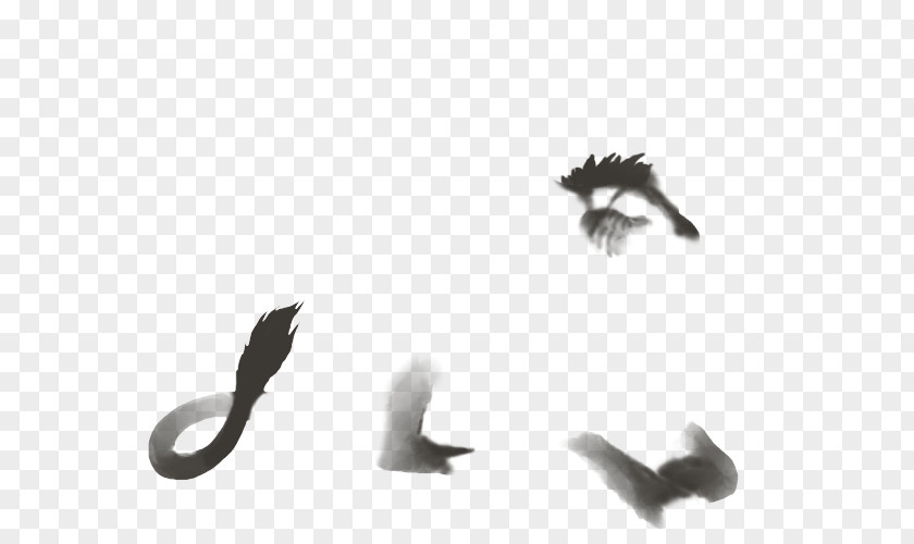 Smudges Bird Feather Beak Wing Tail PNG