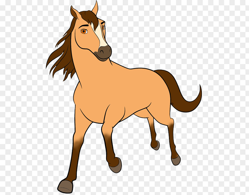 Spirit Mustang Drawing DreamWorks Animation Clip Art PNG