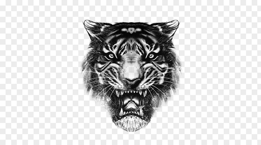 Tiger Drawing Roar Lion PNG