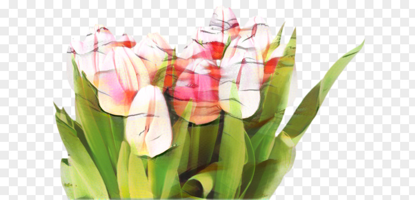 Floristry Anthurium Lily Flower Cartoon PNG