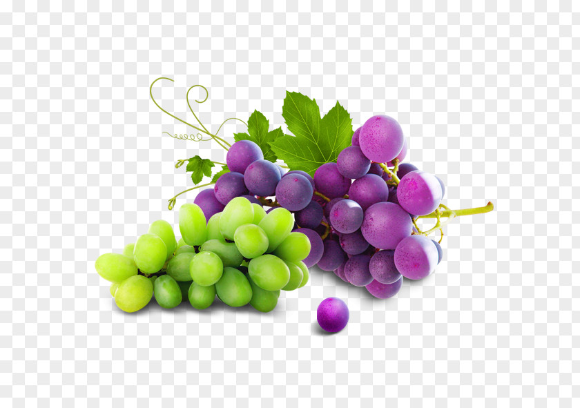 Fresh Grapes Red Wine Juice Grape PNG