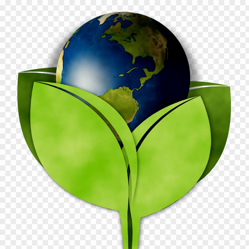 /m/02j71 Earth Green Product Design PNG