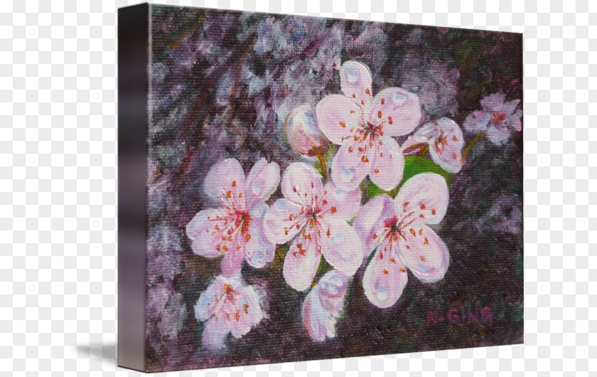 Plum Blossom Flower Floral Design Cherry PNG