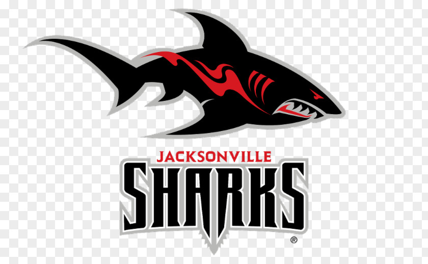 Shark Jacksonville Sharks Logo American Football Great White PNG