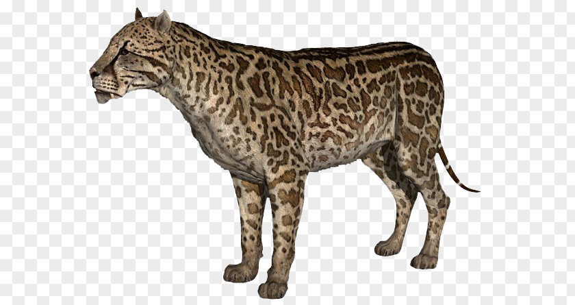 Tiger Saber-toothed Cat Dinofelis PNG