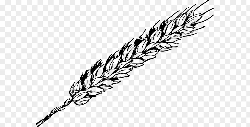 Wheat Cliparts Grain Free Content Clip Art PNG