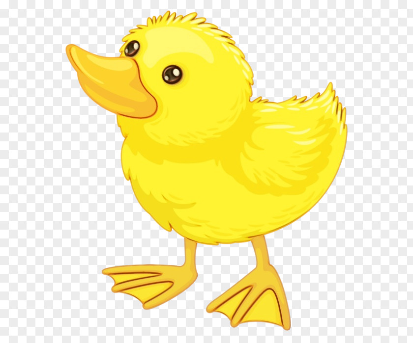 Yellow Bird Duck Beak Cartoon PNG