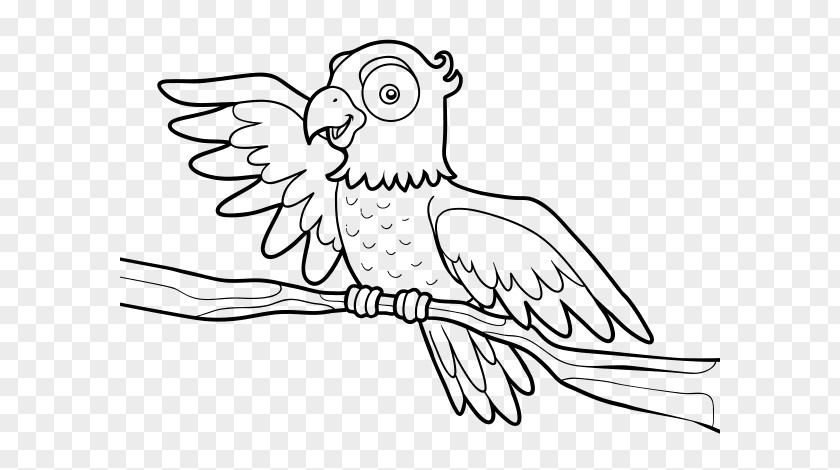 Bird True Parrot Coloring Book Drawing PNG