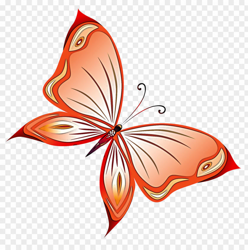 Insect Plant Butterfly Leaf Moths And Butterflies Pollinator PNG