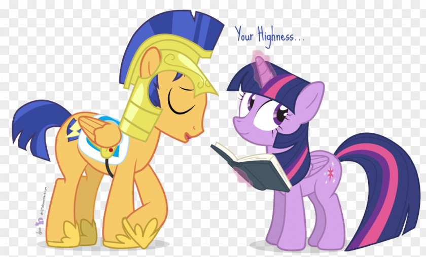 My Little Pony Twilight Sparkle Flash Sentry Rainbow Dash PNG