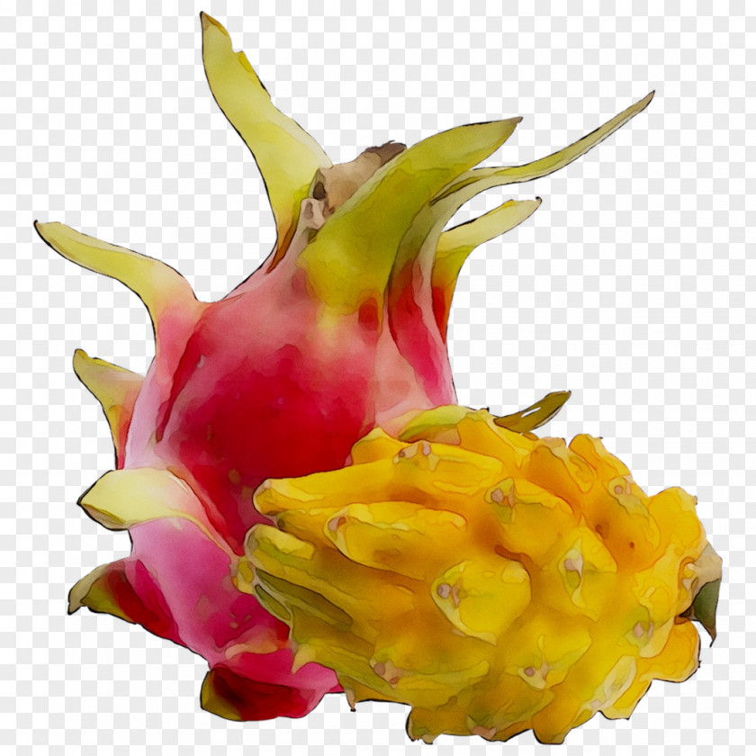 Passion Fruit Vegetable Los Angeles PNG