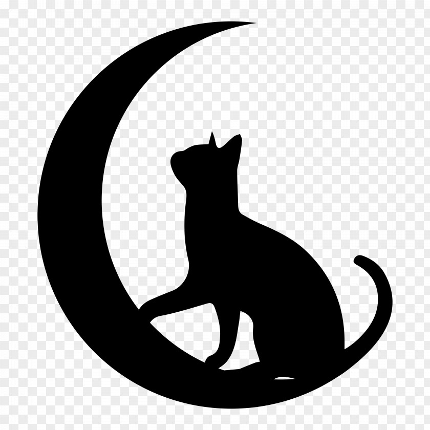 Whiskers Head Cat Black Small To Medium-sized Cats White PNG
