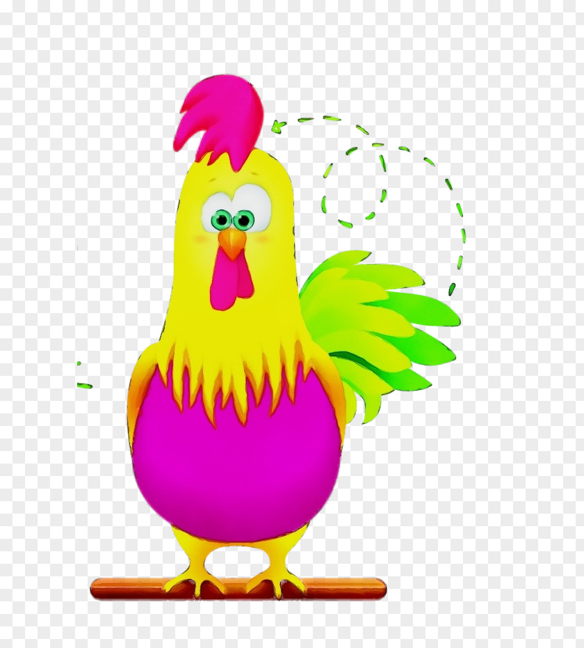 Chicken Bird Rooster Cartoon Beak PNG