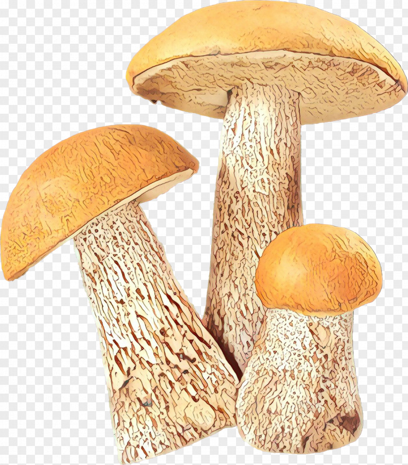 Edible Mushroom Fungus Vector Graphics Clip Art PNG