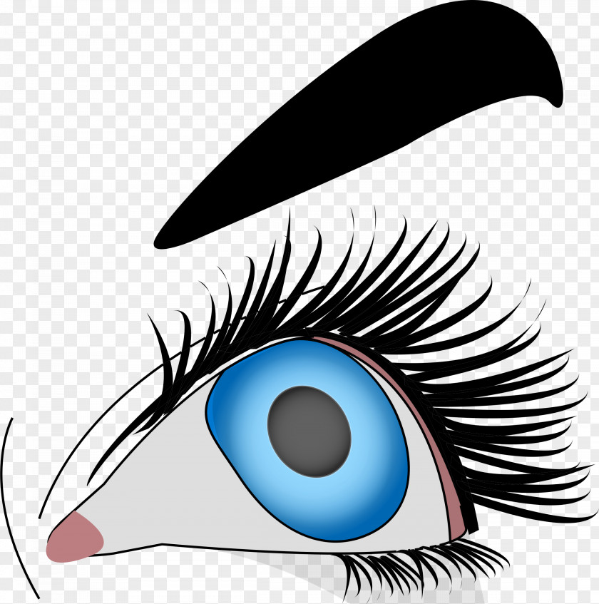 Eye Brow Clip Art PNG