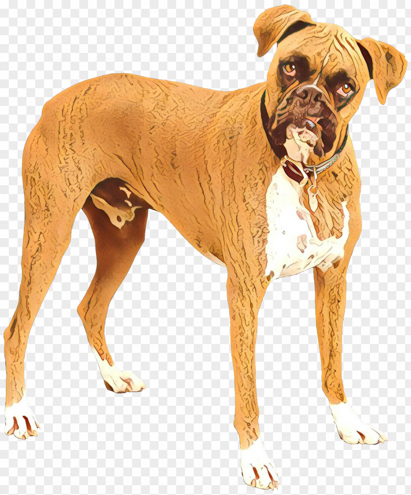 Great Dane Fawn Cartoon Dog PNG