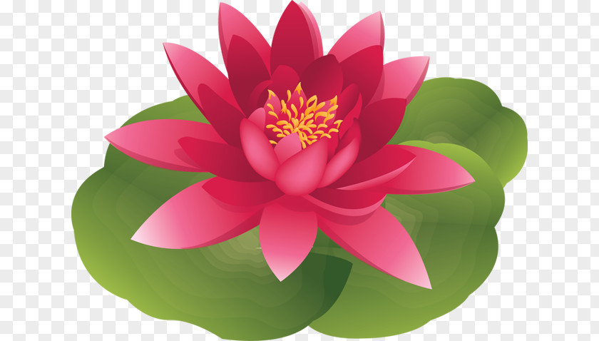 Lily Pond Cliparts Water Lilium Candidum Easter Clip Art PNG