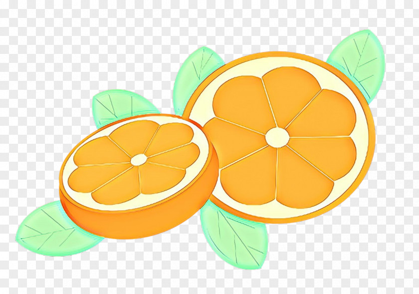 Mandarin Orange Plant Fruit Cartoon PNG