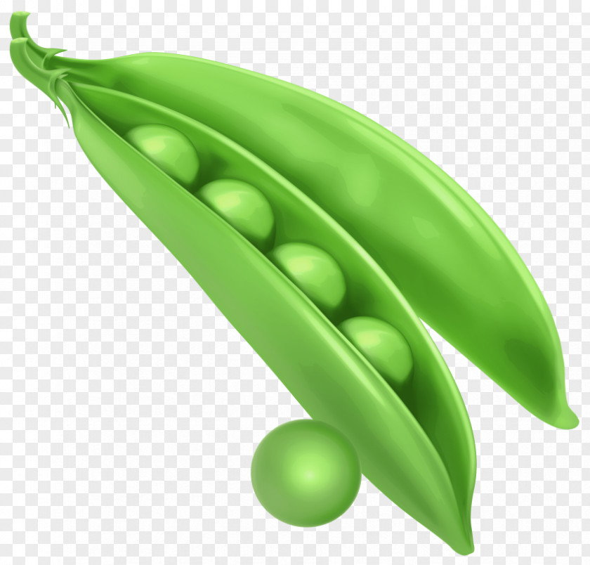 Vegetable Clip Art Snap Pea Image PNG