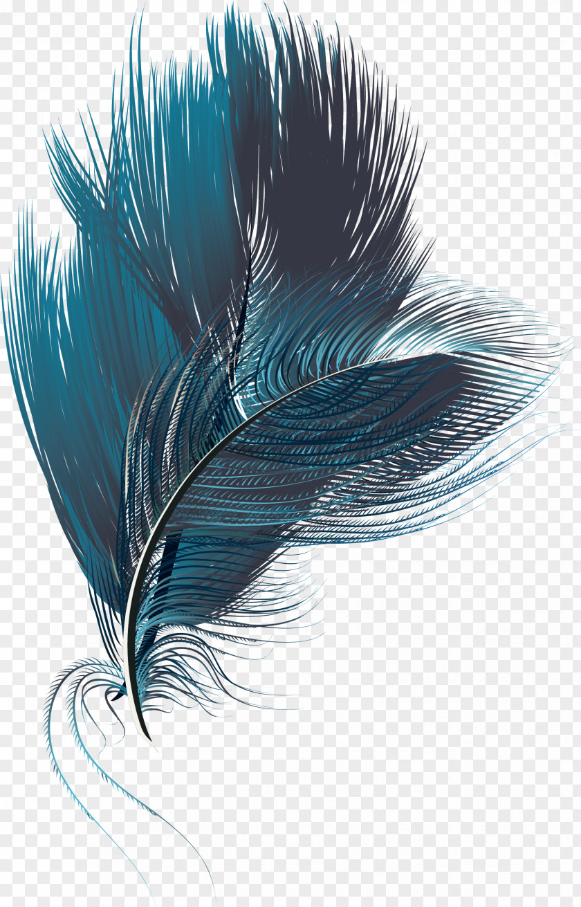Blue Exquisite Feathers Feather Computer File PNG