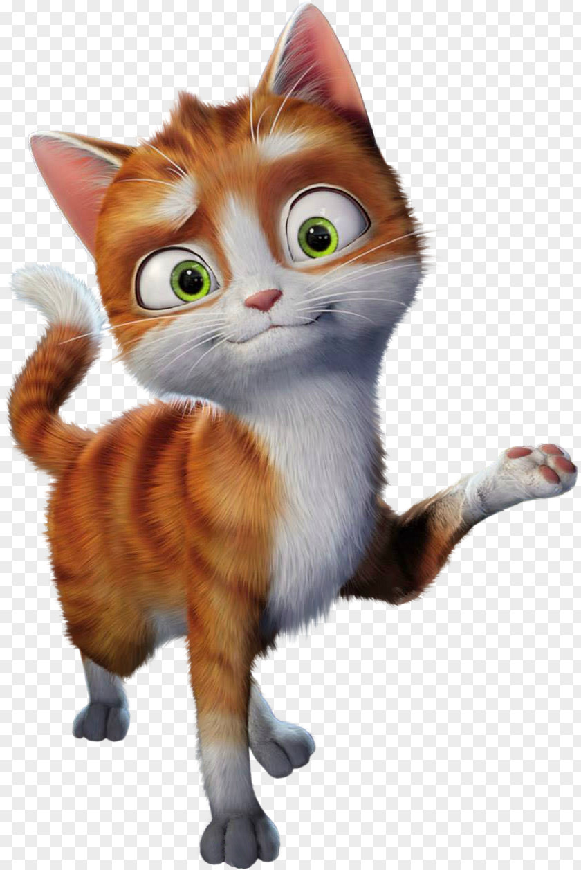 Cute Cat Animated Film Adventure PNG