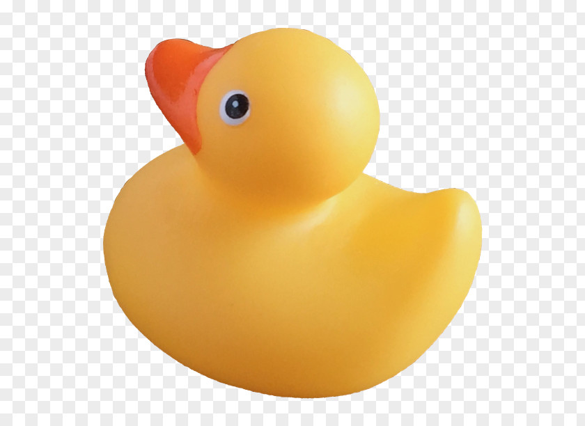 Duck Void Type Nitrate Japan Surgery PNG