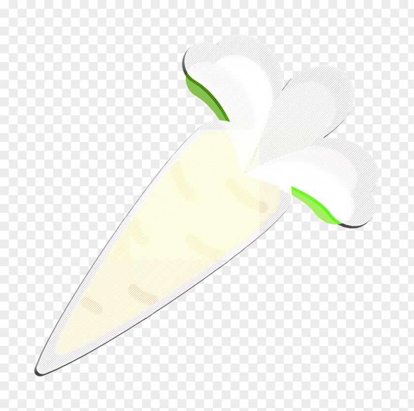 Flower Plant Gastronomy Set Icon Carrot PNG